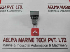 L5. 250V 2W Pushbutton Switch