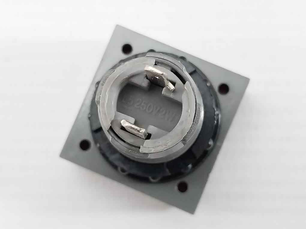 L5. 250V 2W Pushbutton Switch