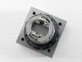 L5. 250V 2W Pushbutton Switch