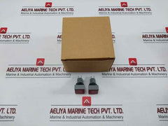 L5. 250V 2W Pushbutton Switch