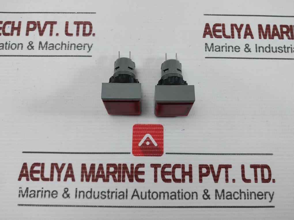 L5. 250V 2W Pushbutton Switch