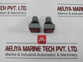 L5. 250V 2W Pushbutton Switch