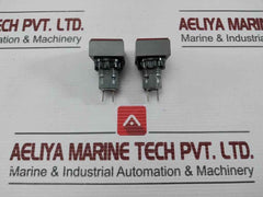 L5. 250V 2W Pushbutton Switch