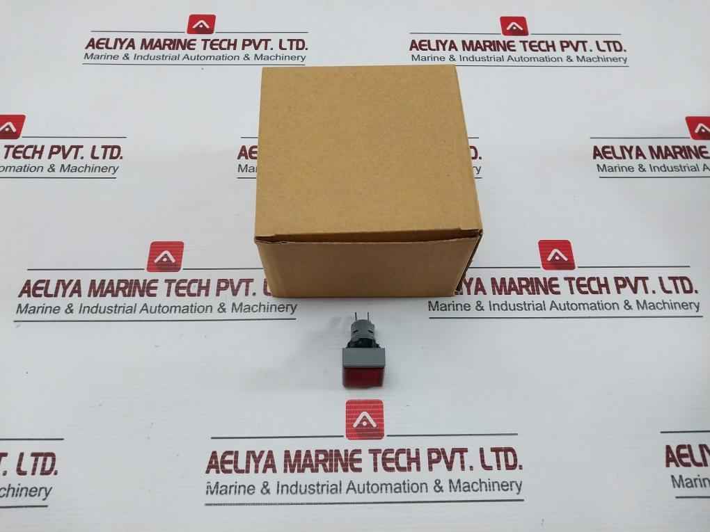 L5. 250V 2W Pushbutton Switch
