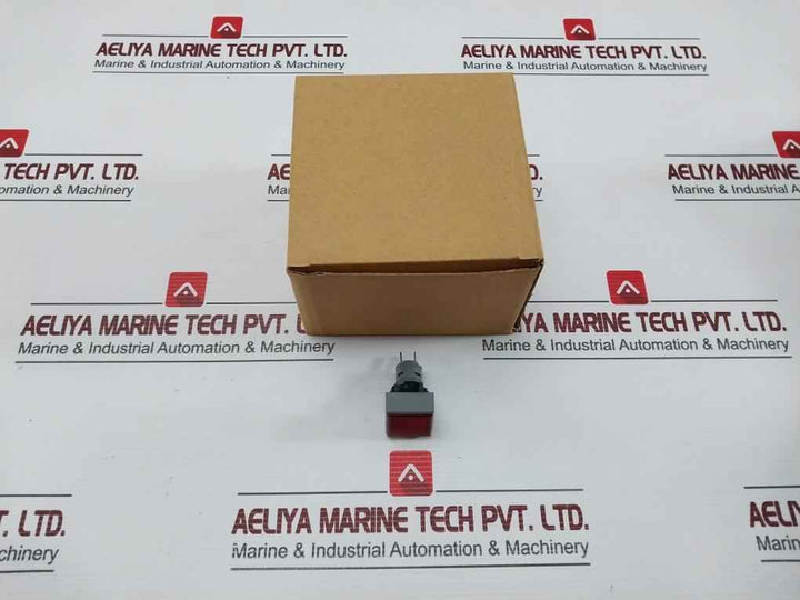 L5. 250V 2W Pushbutton Switch