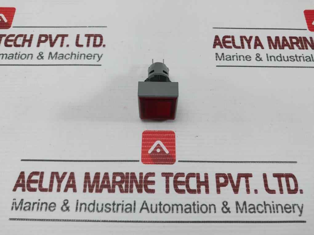 L5. 250V 2W Pushbutton Switch