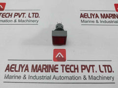 L5. 250V 2W Pushbutton Switch
