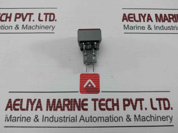 L5. 250V 2W Pushbutton Switch