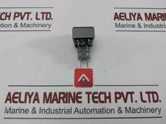 L5. 250V 2W Pushbutton Switch
