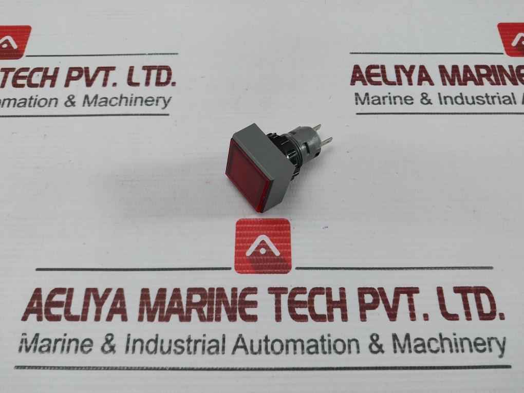 L5. 250V 2W Pushbutton Switch