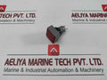 L5. 250V 2W Pushbutton Switch