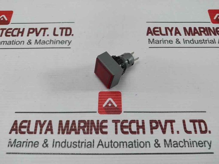 L5. 250V 2W Pushbutton Switch