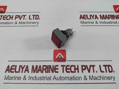 L5. 250V 2W Pushbutton Switch