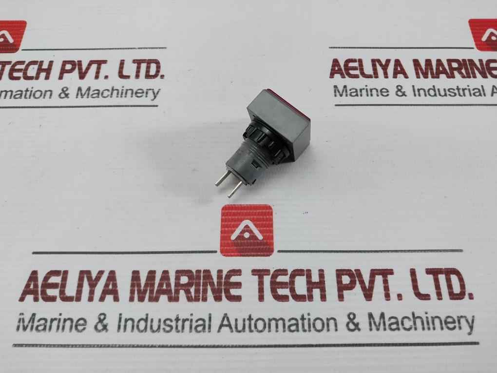 L5. 250V 2W Pushbutton Switch