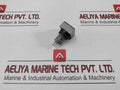 L5. 250V 2W Pushbutton Switch
