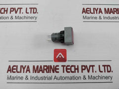 L5. 250V 2W Pushbutton Switch