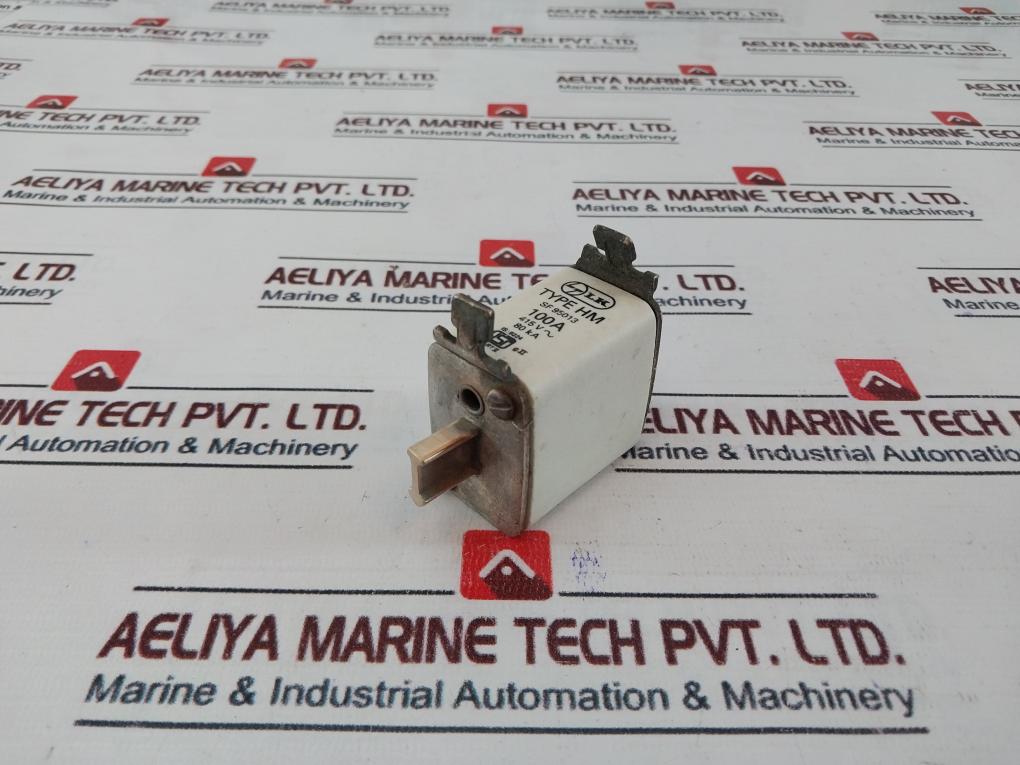 L&T SF 95013 Fuse 100A 415V~