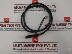 Landis & Gyr Qrb1 A-a070B70A Flame Sensor With Cable