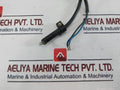 Landis & Gyr Qrb1 A-a070B70A Flame Sensor With Cable
