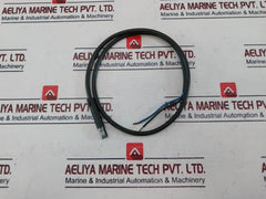 Landis & Gyr Qrb1 A-a070B70A Flame Sensor With Cable 7587