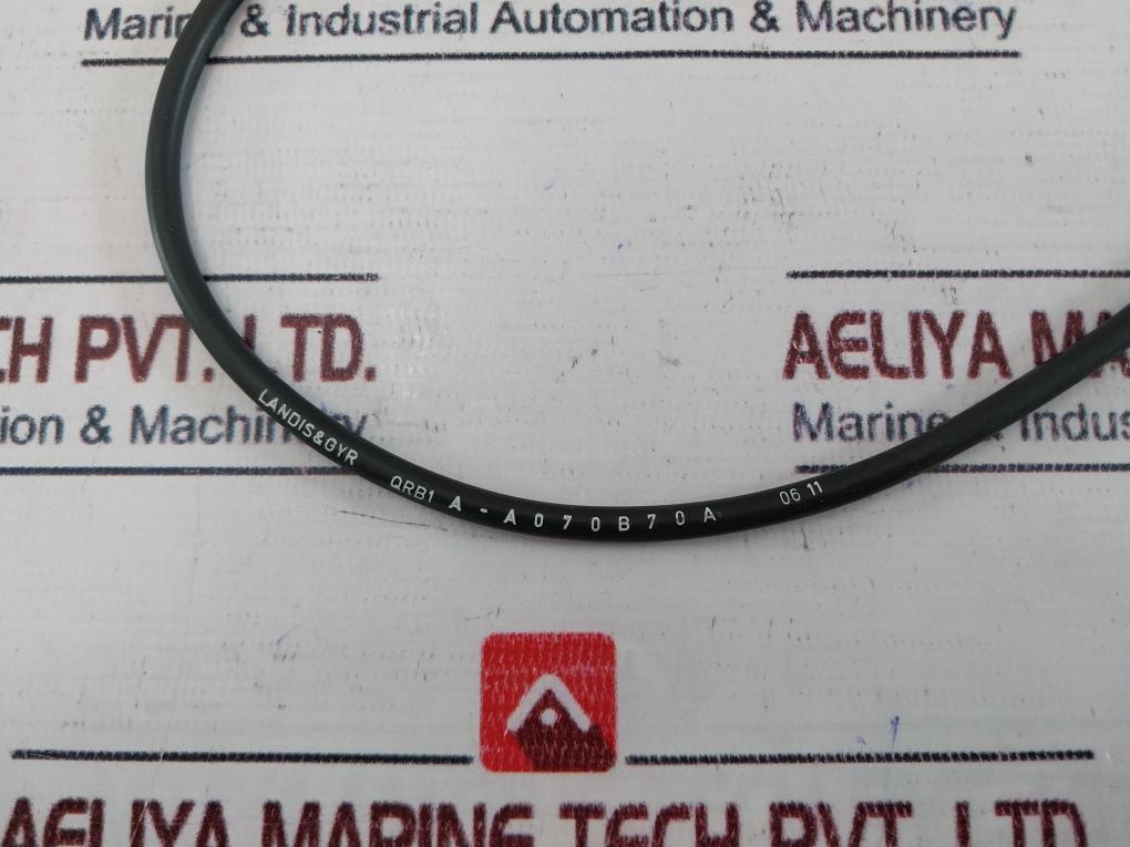Landis & Gyr Qrb1 A-a070B70A Flame Sensor With Cable 7587