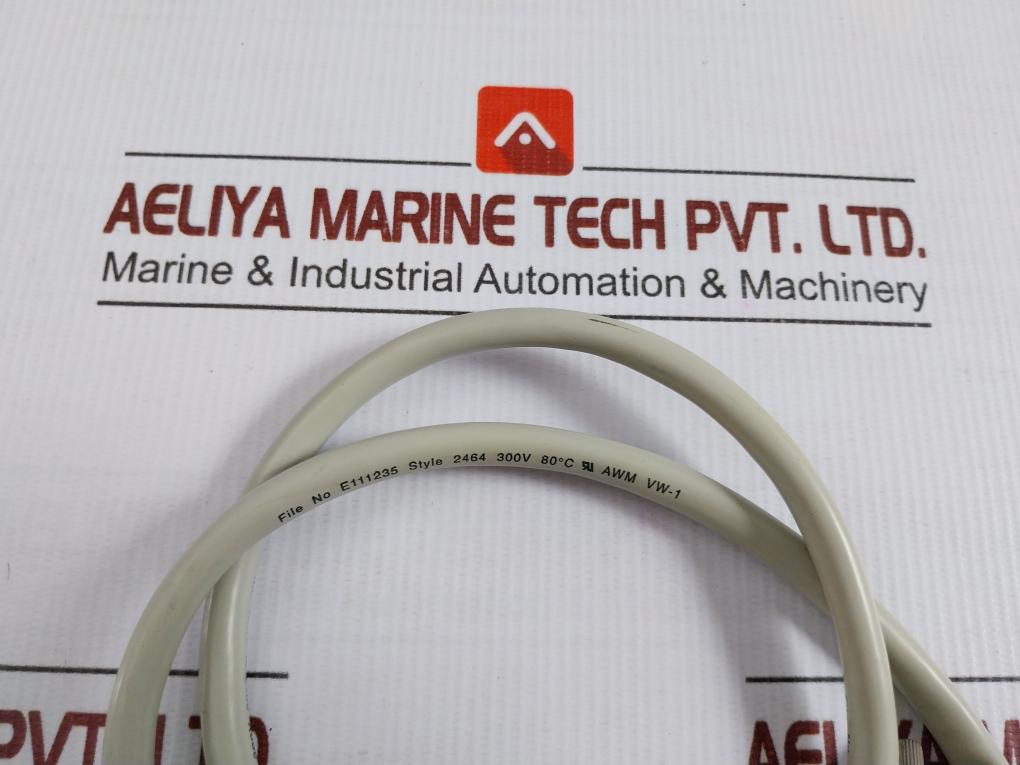 1338-001 Rmm Master Module With Connecting Cable Lanng & Stelman