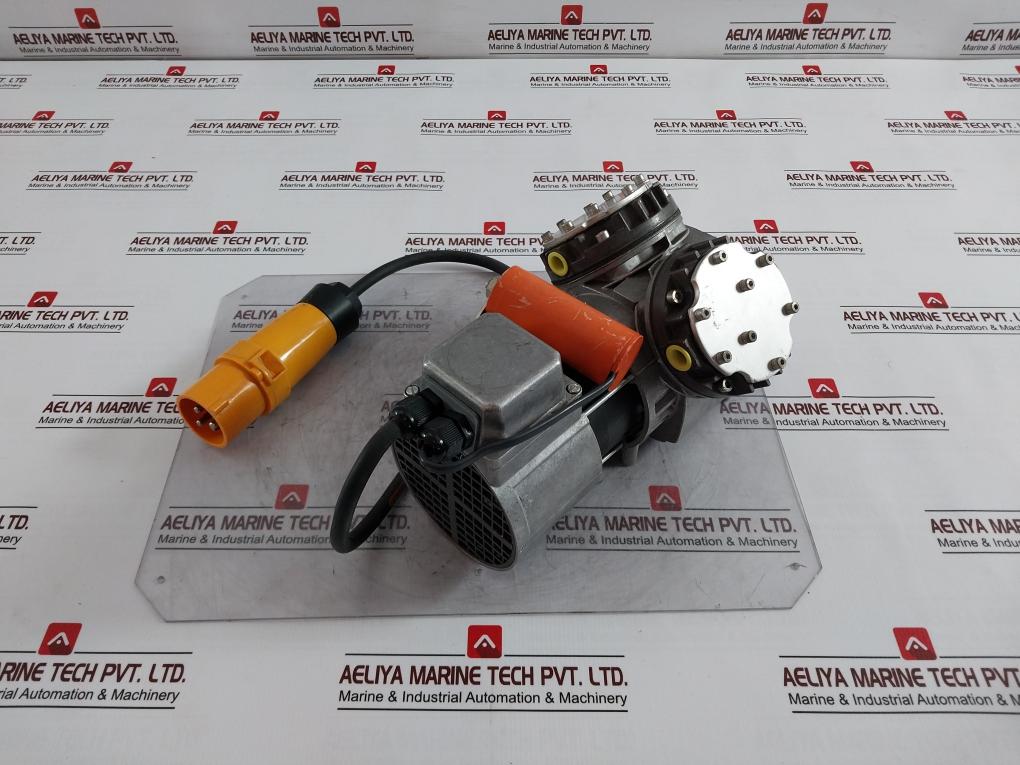 Legrand Pm 10789-026.0 881149 Vacuum Pump Assembly 110V 60 Hz 0.15 Kw