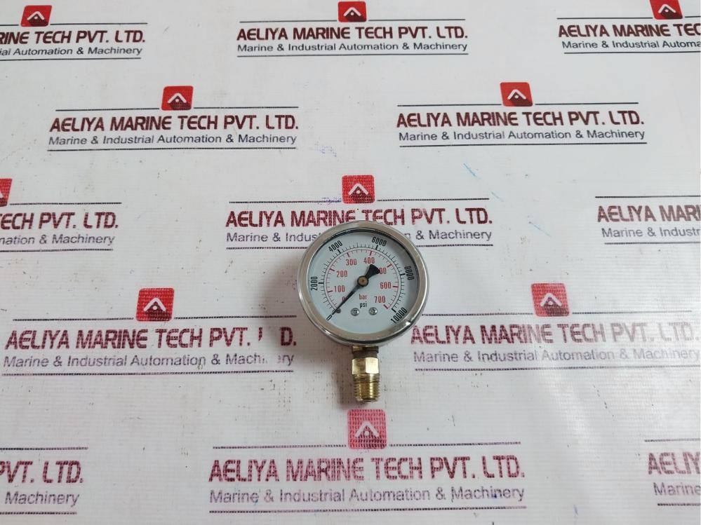 Leipa 880017 Pressure Gauge 0-700 Bar/0-10000 Psi