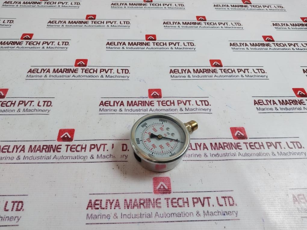 Leipa 880017 Pressure Gauge 0-700 Bar/0-10000 Psi