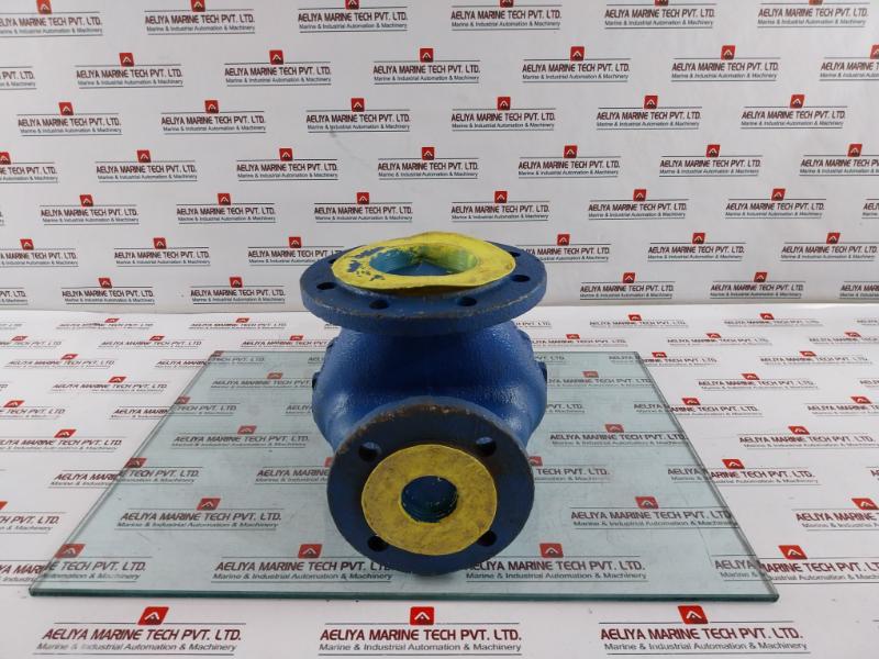 Leser Tuev-sv Pressure Relief Valve 11 Bar