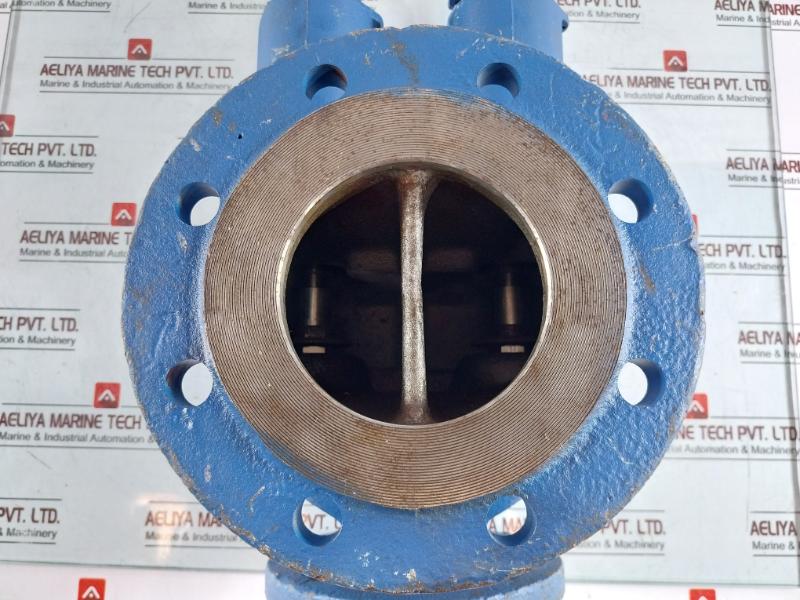 Leser Tuev-sv Pressure Relief Valve 11 Bar