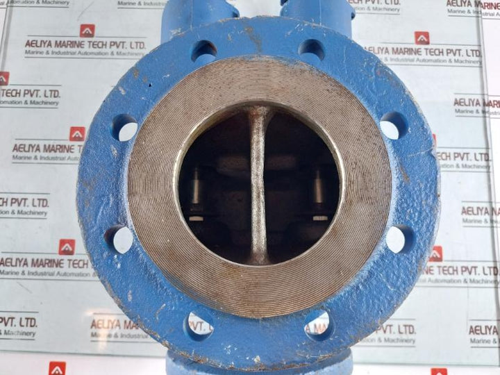 Leser Tuev-sv Pressure Relief Valve 11 Bar