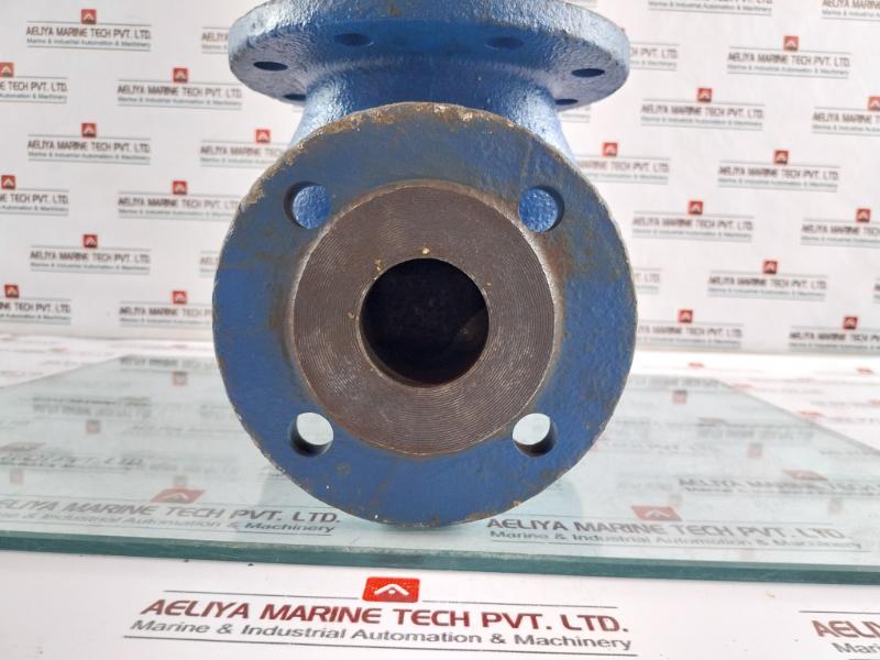 Leser Tuev-sv Pressure Relief Valve 11 Bar