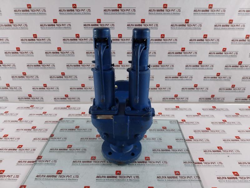 Leser Tuev-sv Pressure Relief Valve 11 Bar