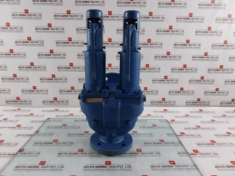 Leser Tuev-sv Pressure Relief Valve 11 Bar