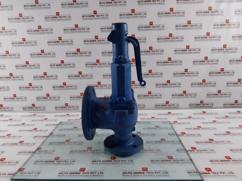 Leser Tuev-sv Pressure Relief Valve 11 Bar