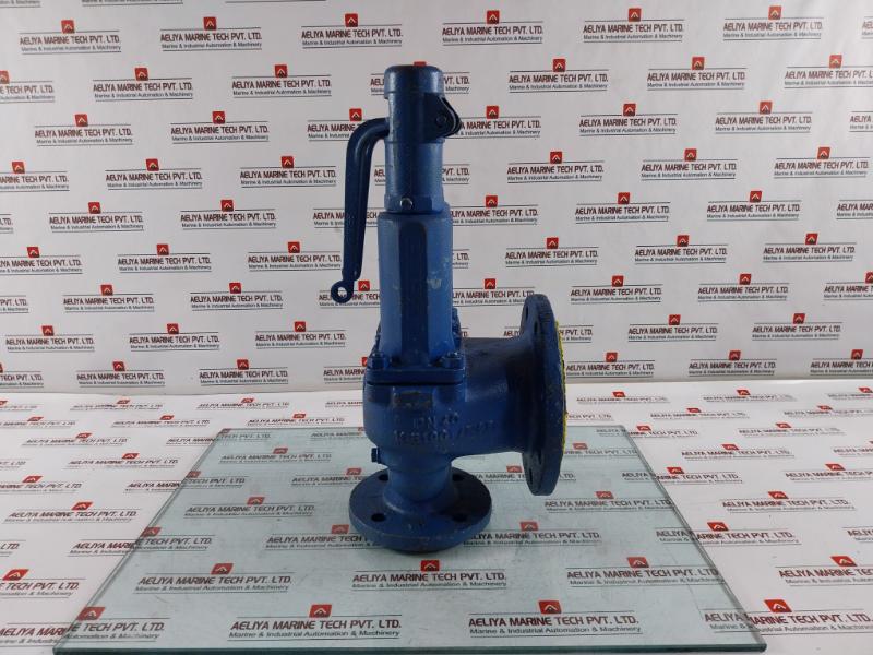 Leser Tuev-sv Pressure Relief Valve 11 Bar