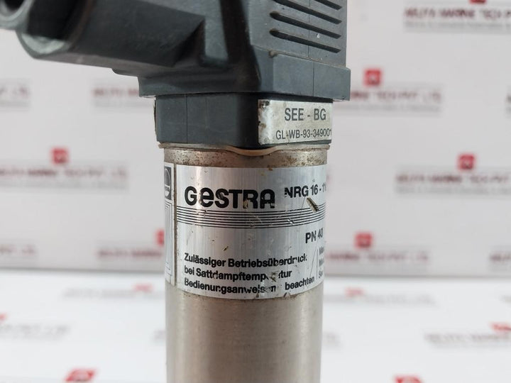 Level Electrode Nrg 16-11S Gestra