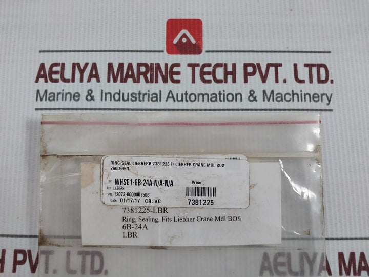 Liebherr 4900262 Hex Screw Seal Ring Kit