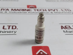 Lindner 6A Bottle Fuse 881.18.000.008 5460