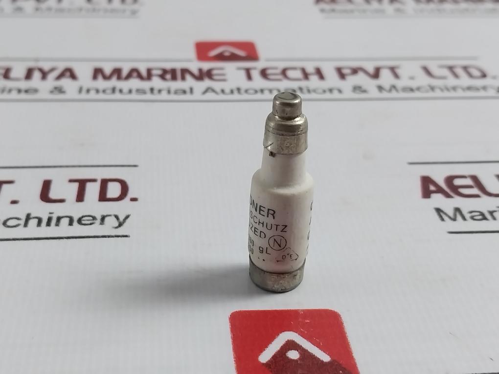 Lindner 6A Bottle Fuse 881.18.000.008 5460