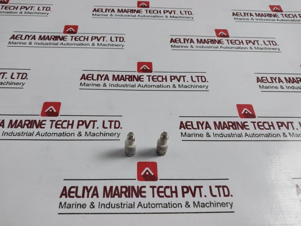 Lindner 6A Bottle Fuse 881.18.000.008 5460