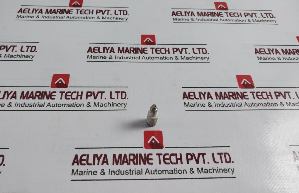 Lindner 6A Bottle Fuse 881.18.000.008 5460