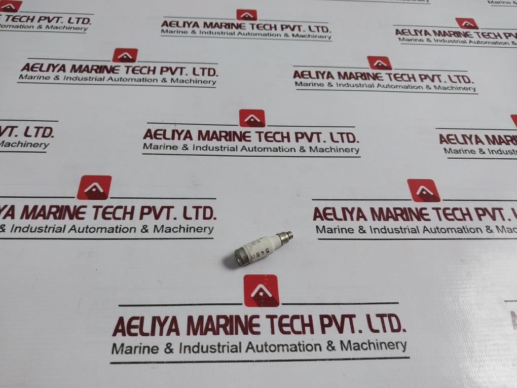 Lindner 6A Bottle Fuse 881.18.000.008 5460