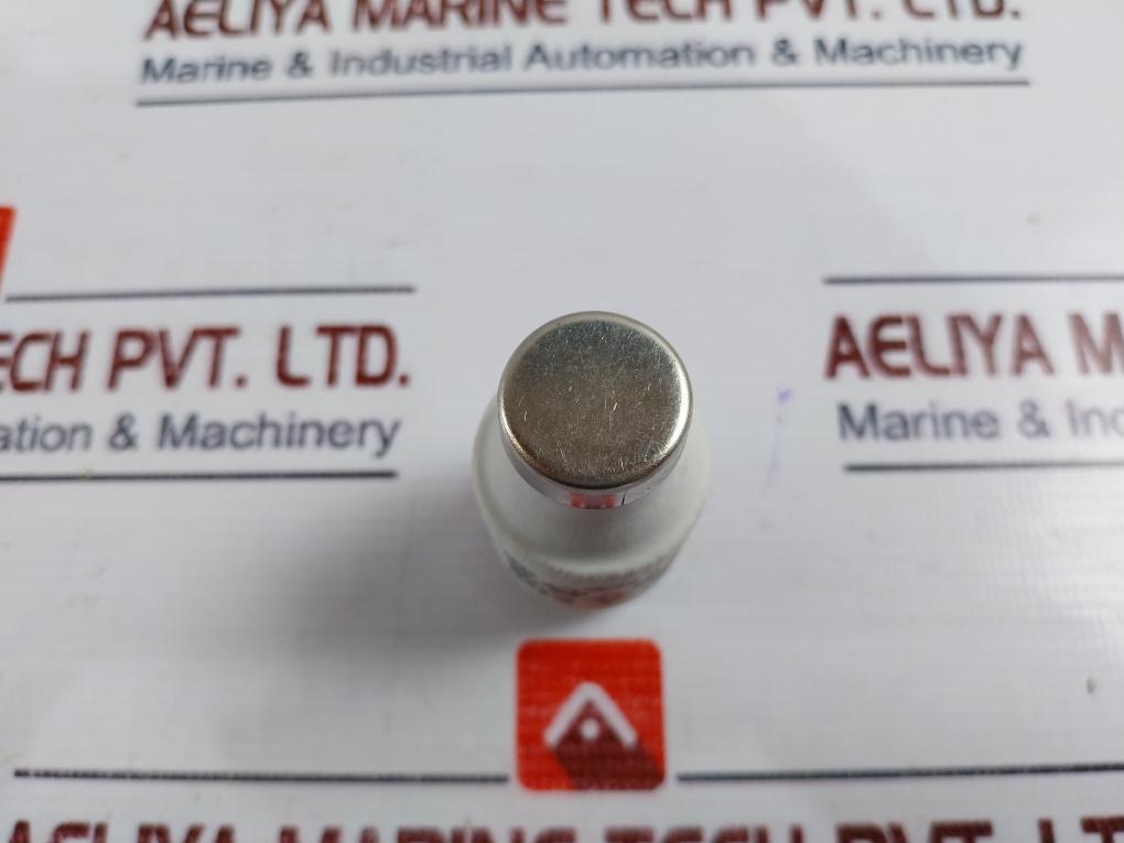 Lindner Ljs Full Protection “d” Cartridge Fuse 50a 500v