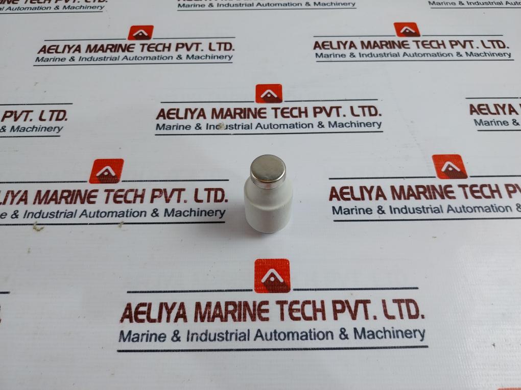 Lindner Ljs Full Protection “d” Cartridge Fuse 50a 500v