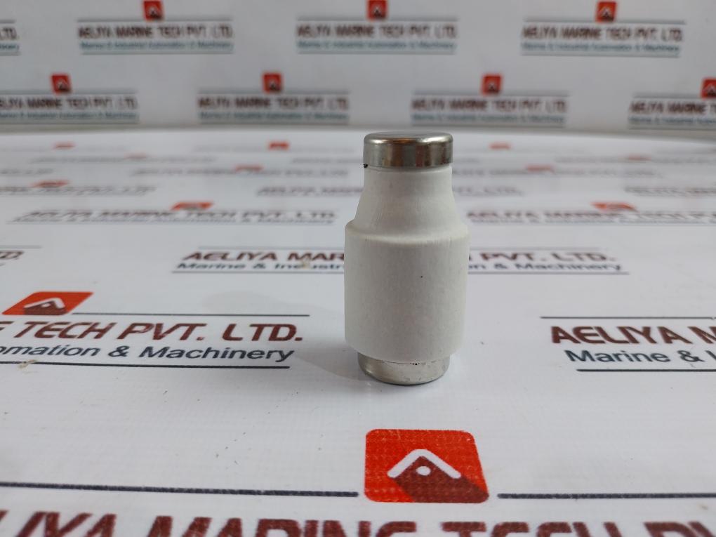 Lindner Ljs Full Protection “d” Cartridge Fuse 50a 500v