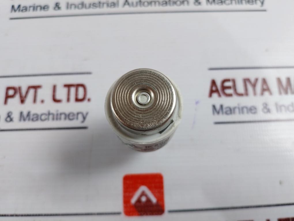 Lindner Ljs Full Protection “d” Cartridge Fuse 50a 500v