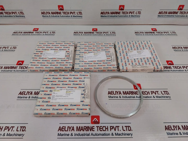 Lone Star 140170-10-01-04 Bonnet Ring Gasket 91707