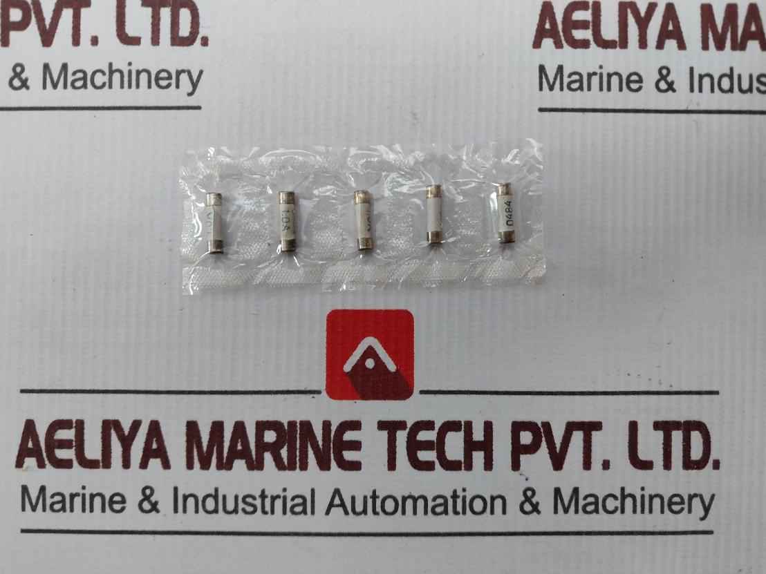 Lot Of 10X 0.481.303ТУ Silver Content Fuse Link 1,0A